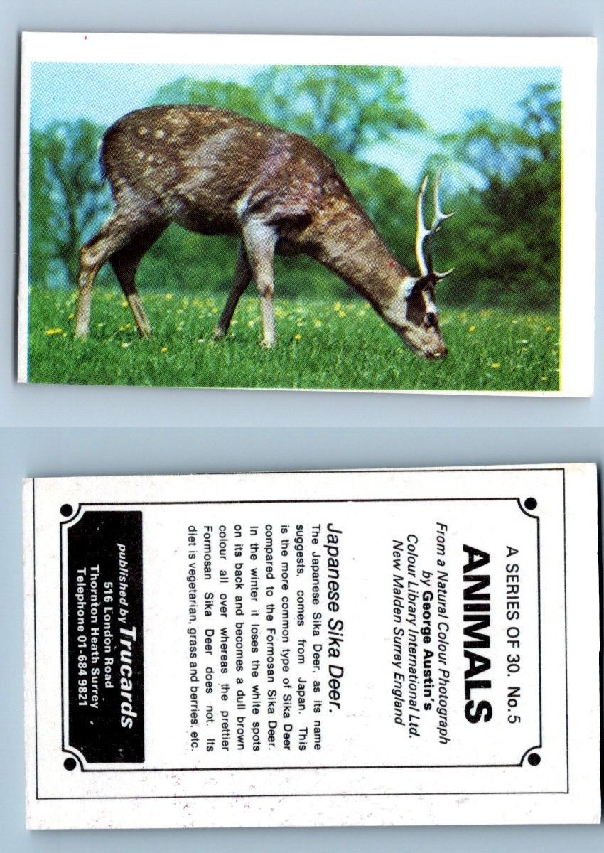 Japanese Sika Deer #5 Animals 1972 Trucards