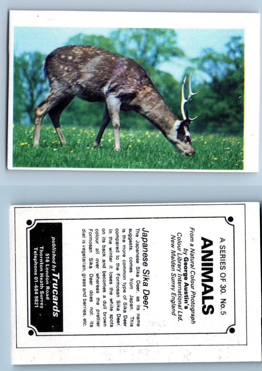 Japanese Sika Deer #5 Animals 1972 Trucards
