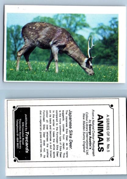 Japanese Sika Deer #5 Animals 1972 Trucards