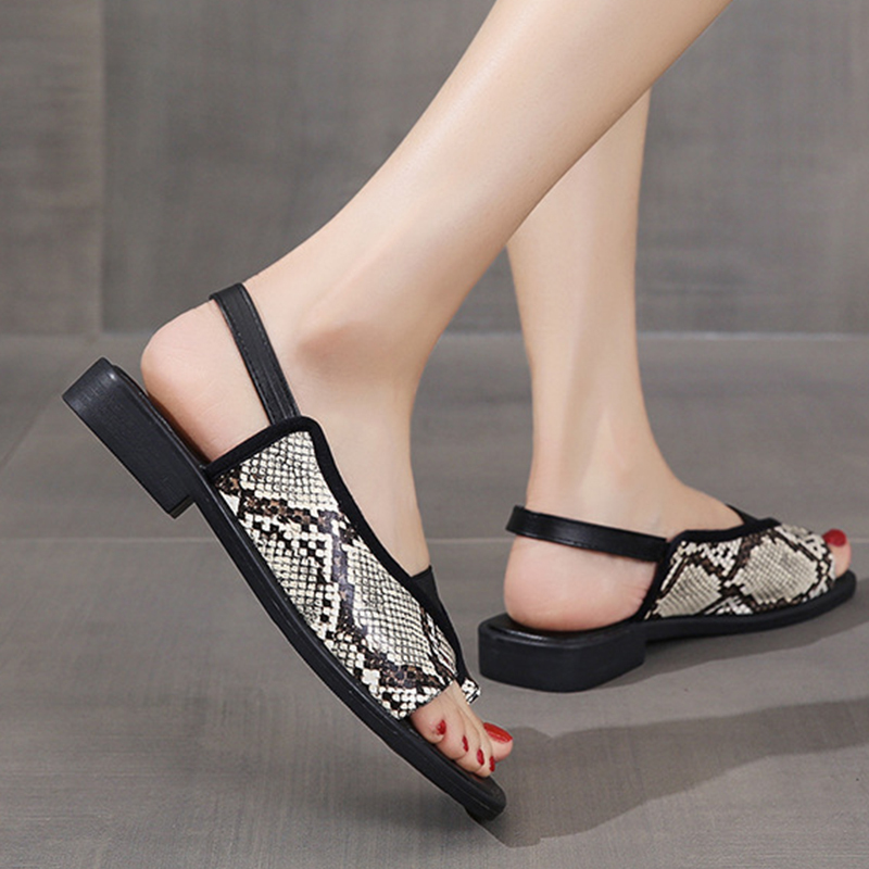 🔥Last Day Promotion 50% OFF - Women's Fashion Chunky Heel Orthopaedic Sandals