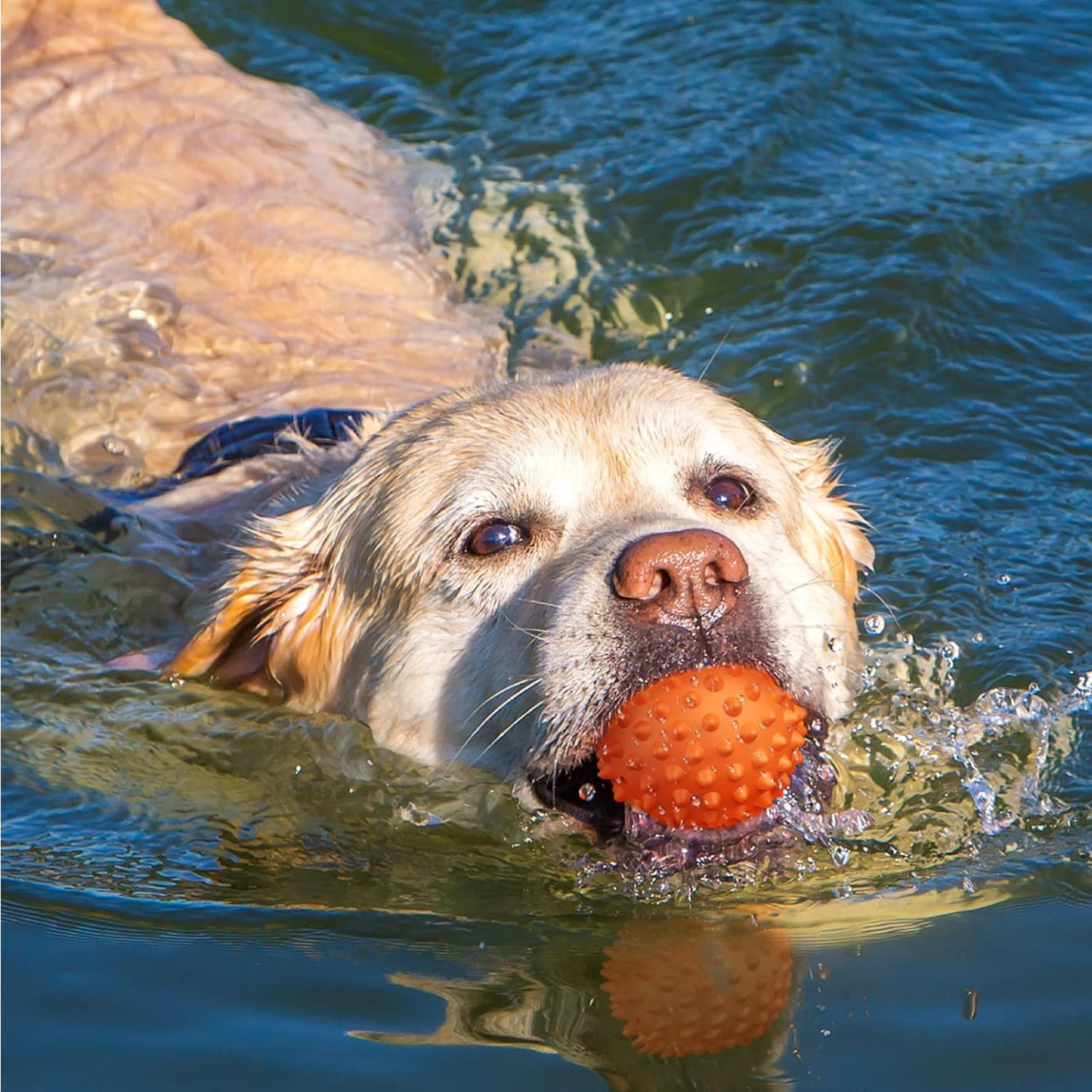 Apasiri Peanut Flavor Dog Ball, Indestructible Dog Toy for Aggressive Chewers, Large Breed, Squeaky, Rubber, Orange