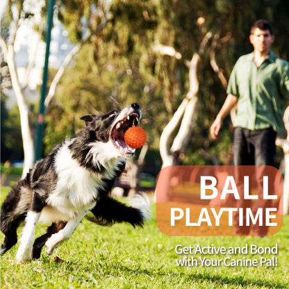 Apasiri Peanut Flavor Dog Ball, Indestructible Dog Toy for Aggressive Chewers, Large Breed, Squeaky, Rubber, Orange