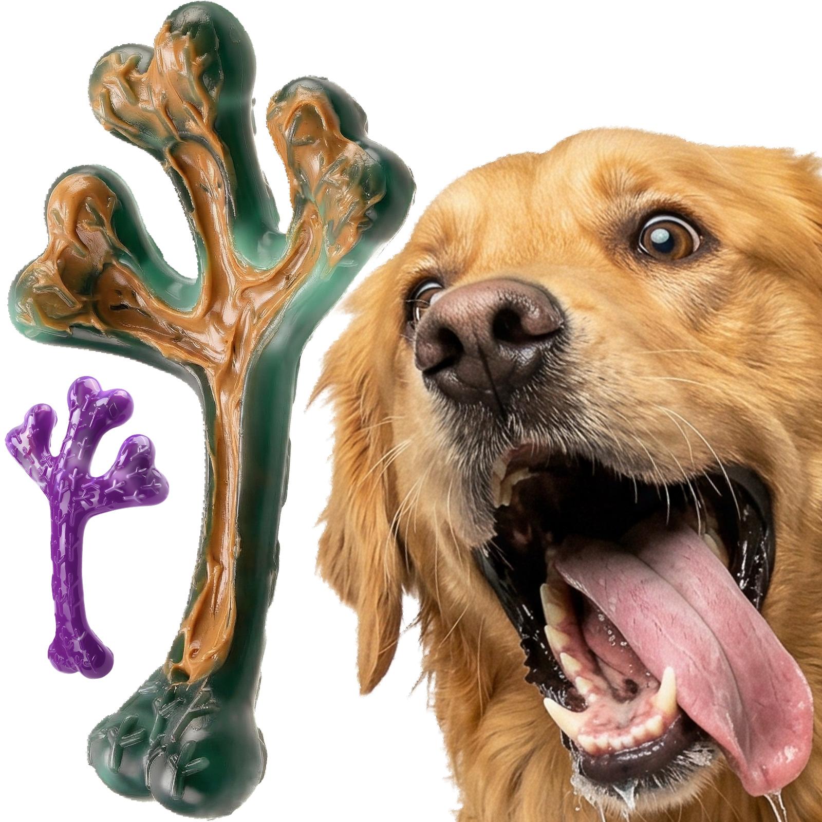 Frienhund 2 Pack Indestructible Dog Chew Toys for Aggressive Chewers, XL Textured Cactus & Beef Nylon Bones, Treat Dispensing for Peanut Butter Yogurt, for Large Dogs 20-90 lbs
