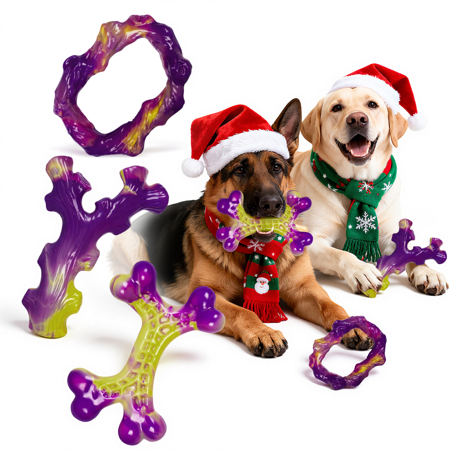 6-Pack Dog Toys for Aggressive Chewers