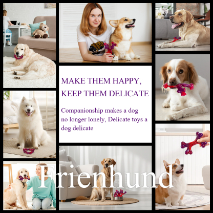 Frienhund by Apasiri Tough Dog Toys for Aggressive Chewers Model 315 Beef