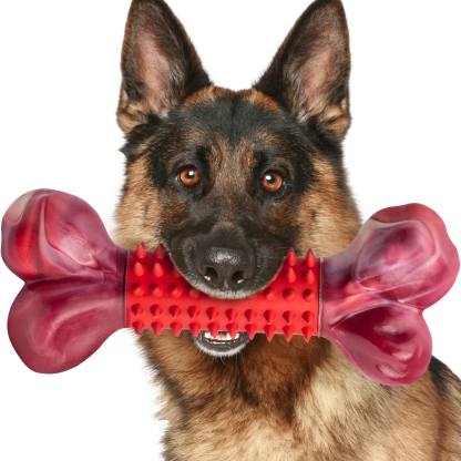 Apasiri Tough Dog Toys for Aggressive Chewers Large Breed, Beef Flavor Dog Chew Bone, Nylon & Rubber Chew Toy for Medium Large Dogs