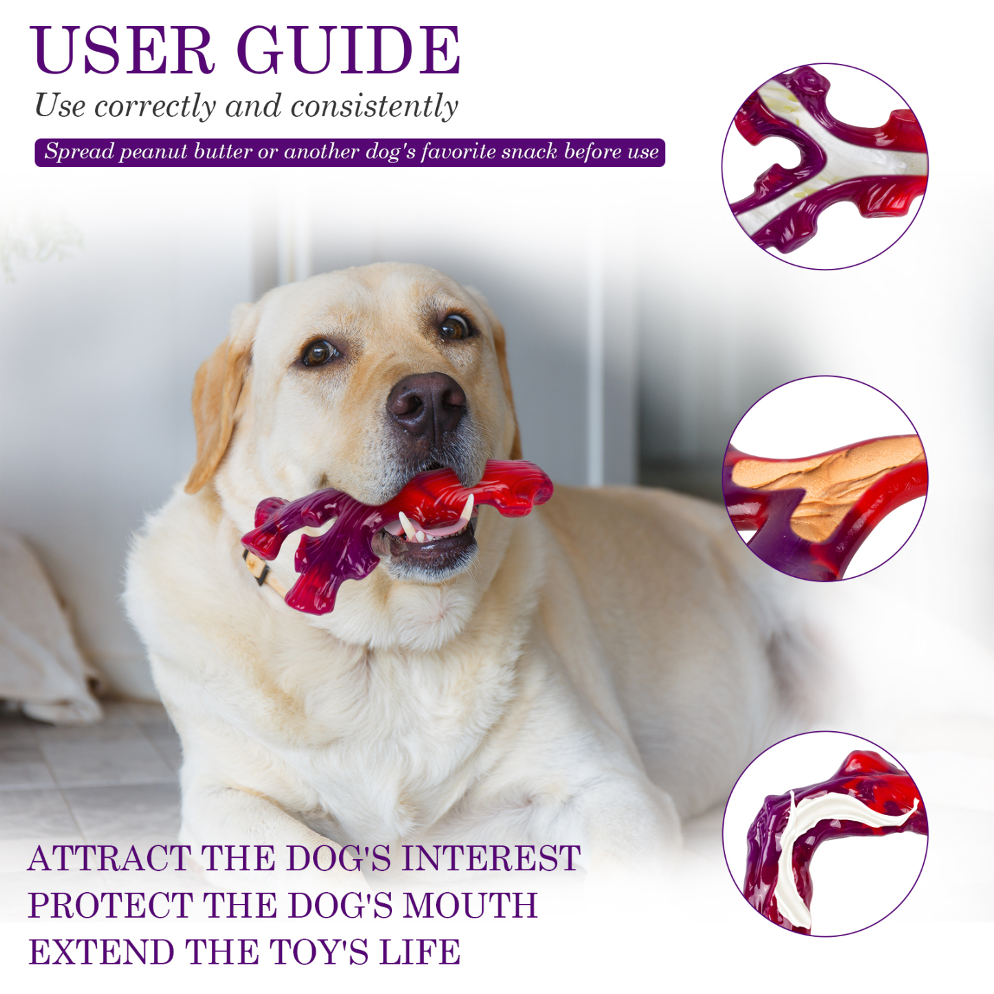 6-Pack Indestructible Dog Toys for Large Breed