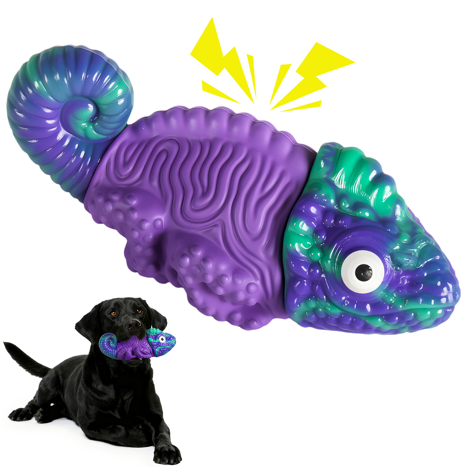 Chien Box Dog Toys for Aggressive Chewers