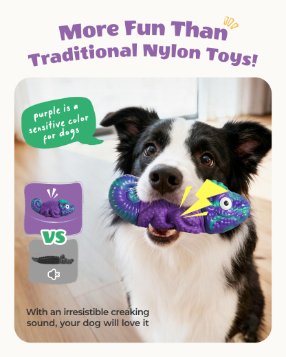 Chien Box Dog Toys for Aggressive Chewers