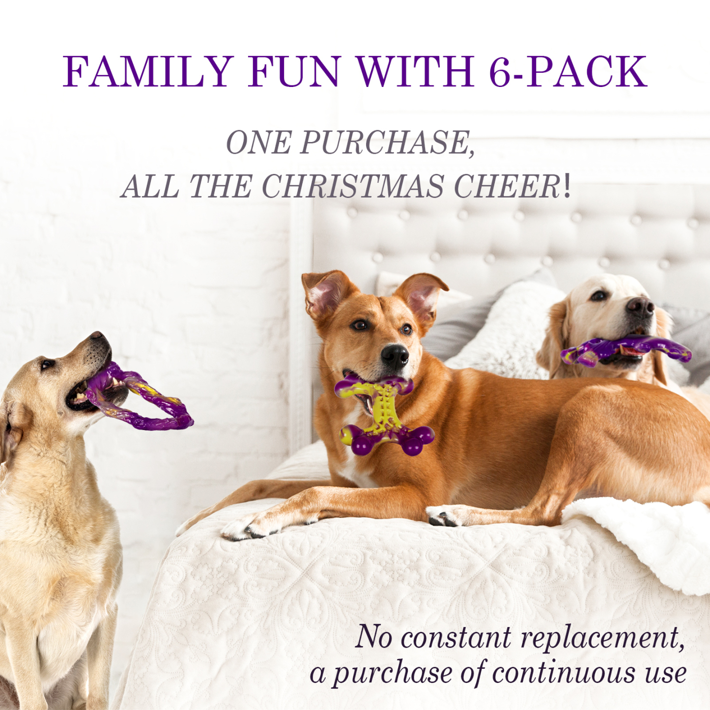 6-Pack Dog Toys for Aggressive Chewers