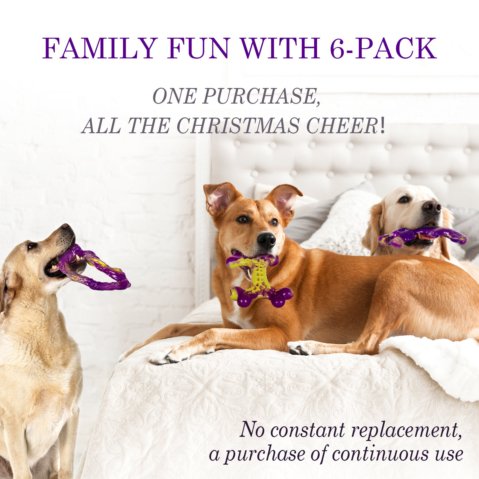 6-Pack Dog Toys for Aggressive Chewers