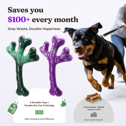 Frienhund 2 Pack Indestructible Dog Chew Toys for Aggressive Chewers, XL Textured Cactus & Beef Nylon Bones, Treat Dispensing for Peanut Butter Yogurt, for Large Dogs 20-90 lbs