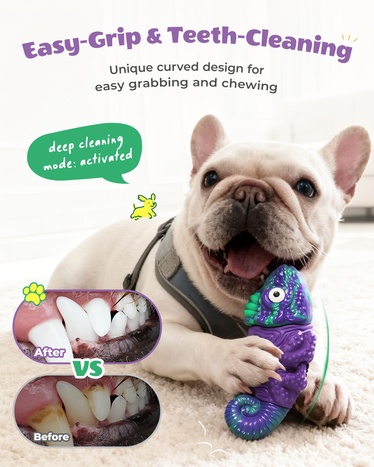 Chien Box Dog Toys for Aggressive Chewers