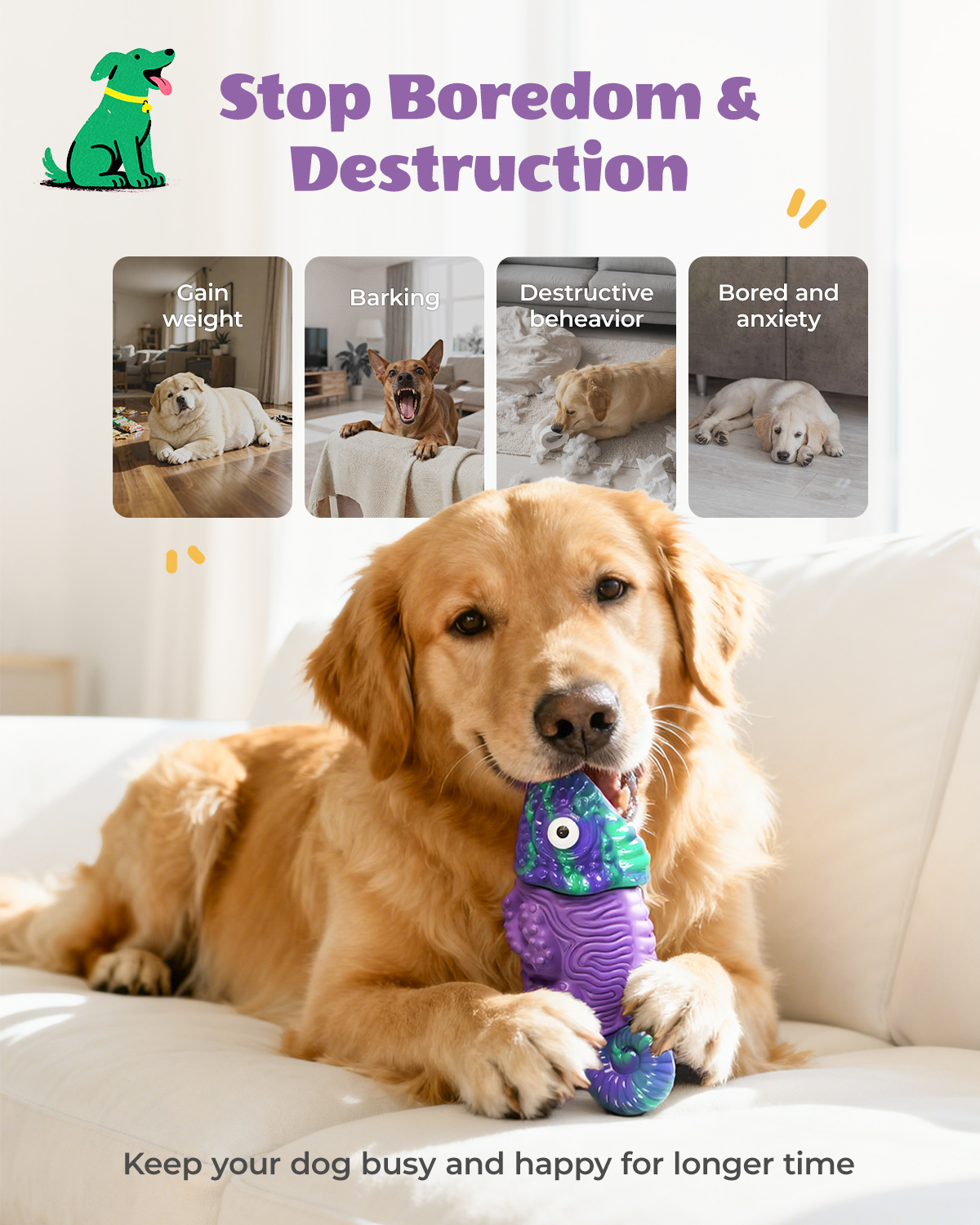 Chien Box Dog Toys for Aggressive Chewers