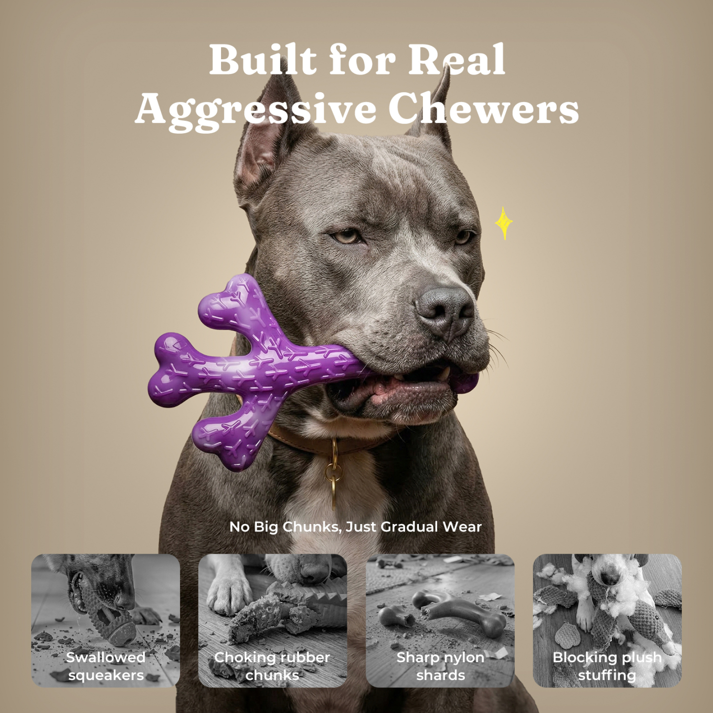 Frienhund 2 Pack Indestructible Dog Chew Toys for Aggressive Chewers, XL Textured Cactus & Beef Nylon Bones, Treat Dispensing for Peanut Butter Yogurt, for Large Dogs 20-90 lbs