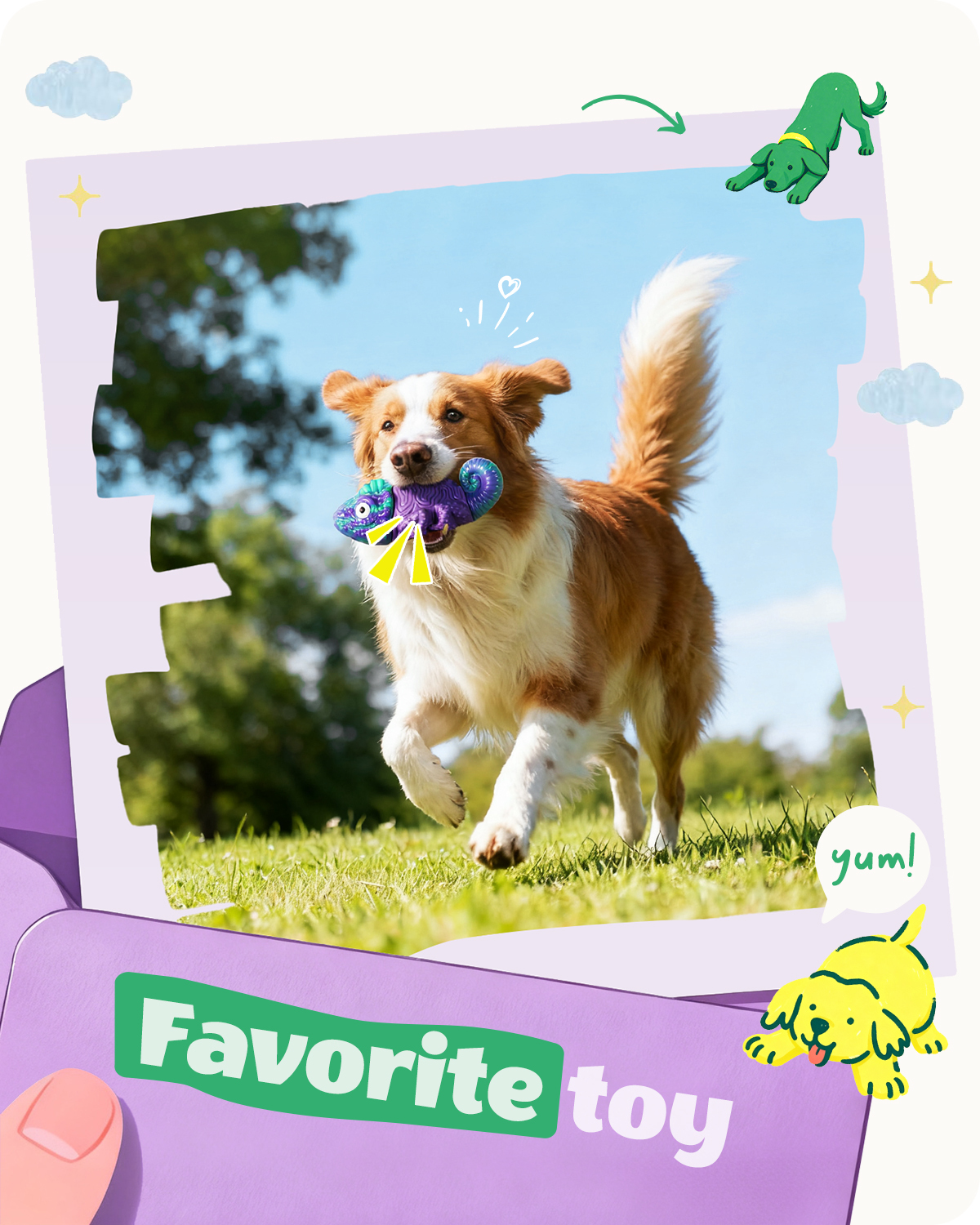 Chien Box Dog Toys for Aggressive Chewers