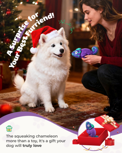 Chien Box Dog Toys for Aggressive Chewers