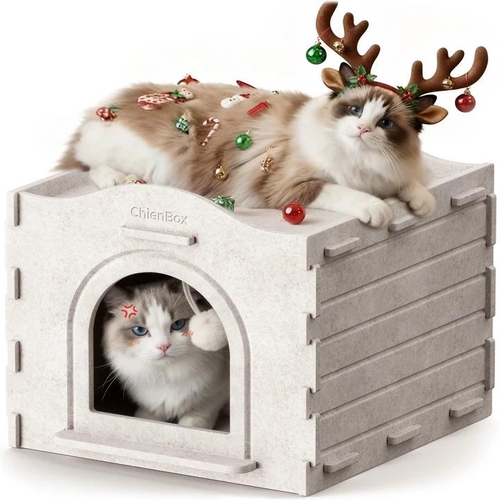 ChienBox：Felt Cat House Indoor: Sturdy & Scratch-Resistant, Puzzle-Style Large Cat Shelter for Indoor Cats