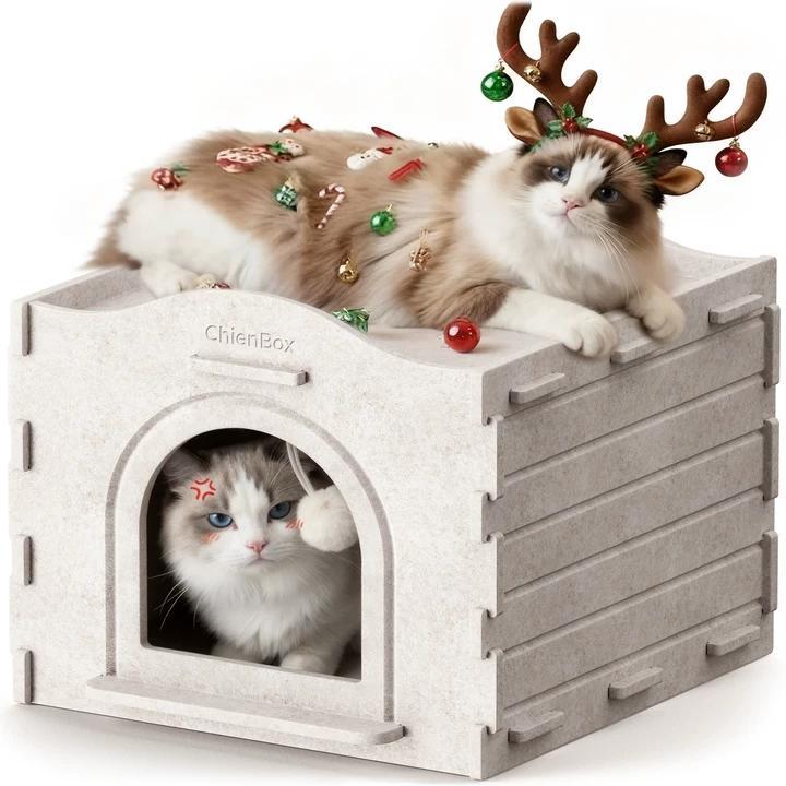 ChienBox：Felt Cat House Indoor: Sturdy & Scratch-Resistant, Puzzle-Style Large Cat Shelter for Indoor Cats