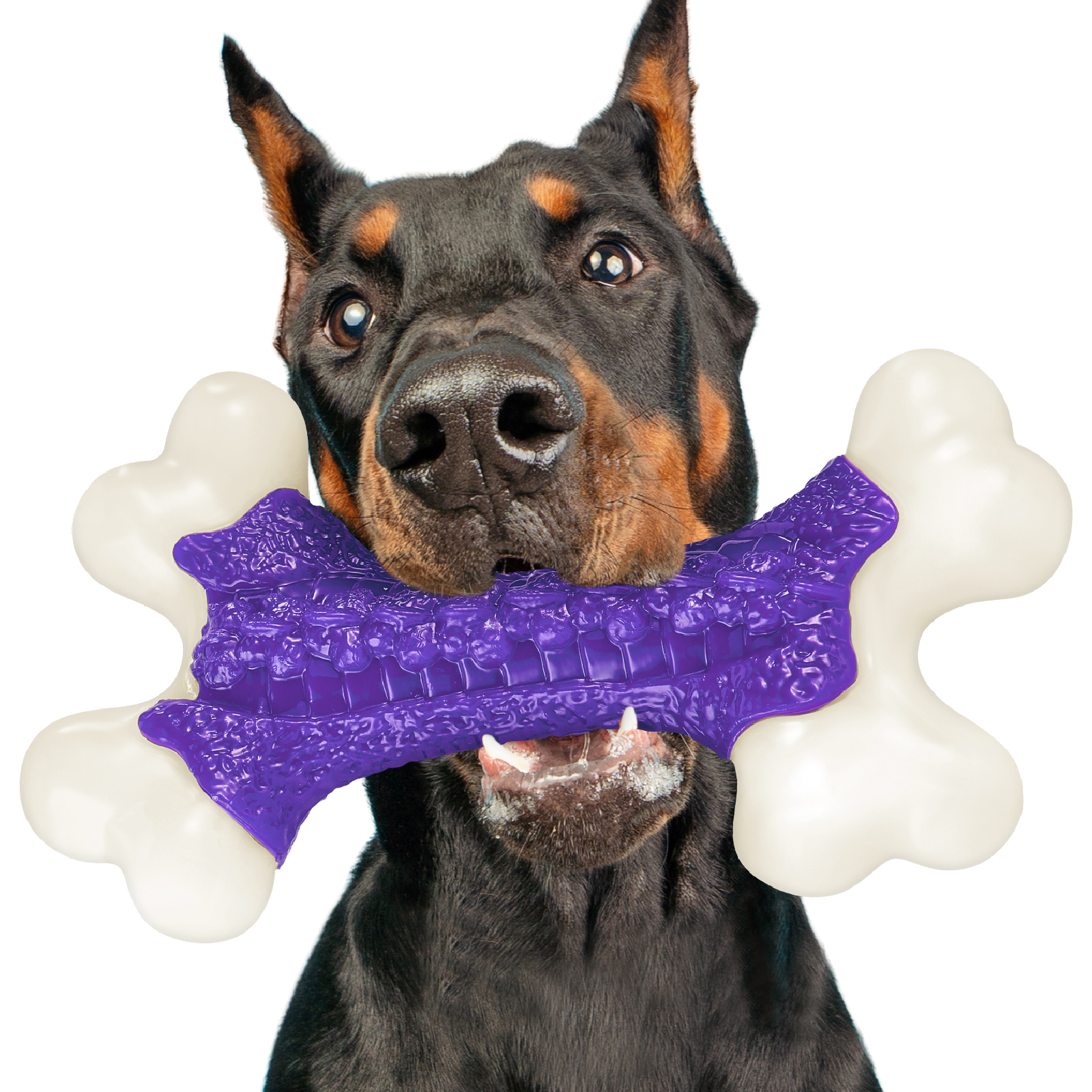 Kseroo by Apasiri Tough Dog Toys, Toys for Aggressive Chewers Large Br