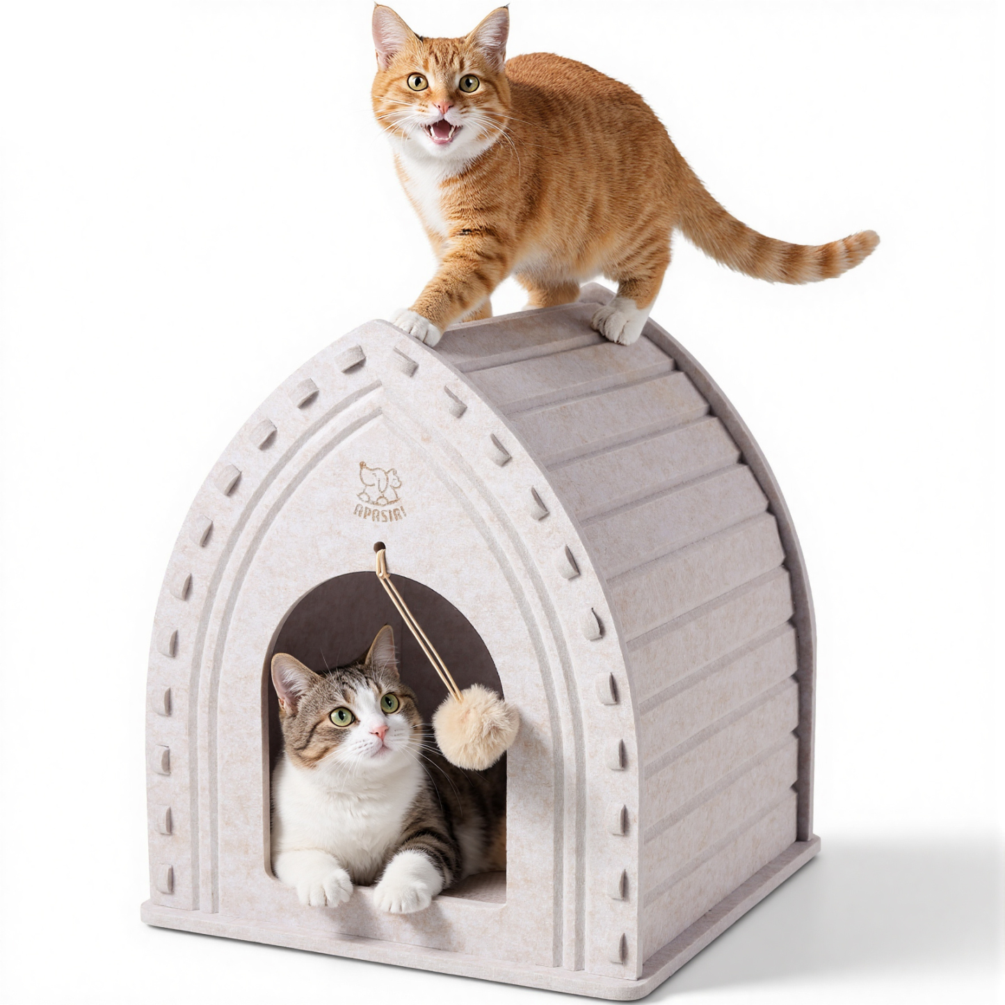 Apasiri Cat House for Indoor Cats: Cat House for Indoor Sturdy