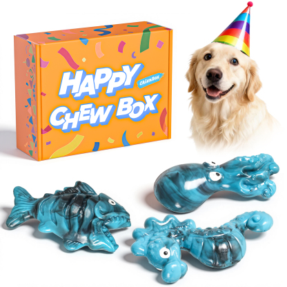 Dog Toys for Aggressive Chewers: Gift Box with 3 Pack Dog Chew Toys