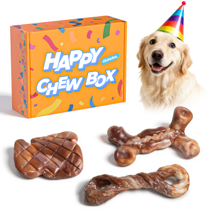 Dog Toys for Aggressive Chewers: Gift Box with 3 Pack Dog Chew Toys