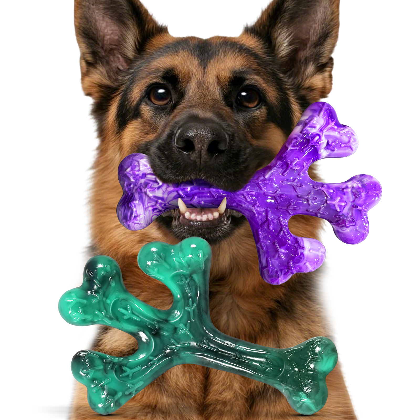 ChienBox : Hundespielzeug für Aggressive Kauer: 2 Stück Hundespielzeug Unzerstörbar für Mittlere Große Hunde