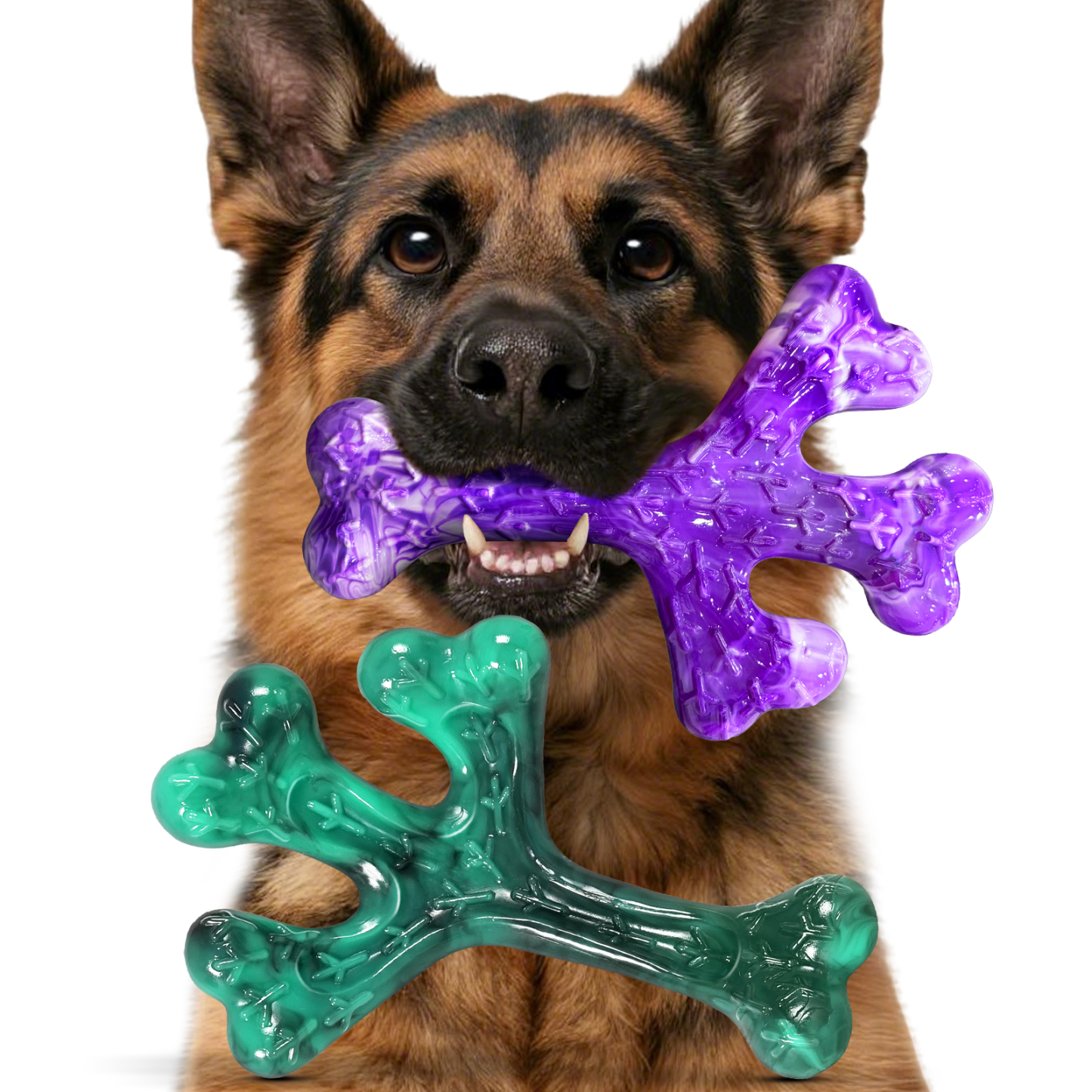 ChienBox : Hundespielzeug für Aggressive Kauer: 2 Stück Hundespielzeug Unzerstörbar für Mittlere Große Hunde