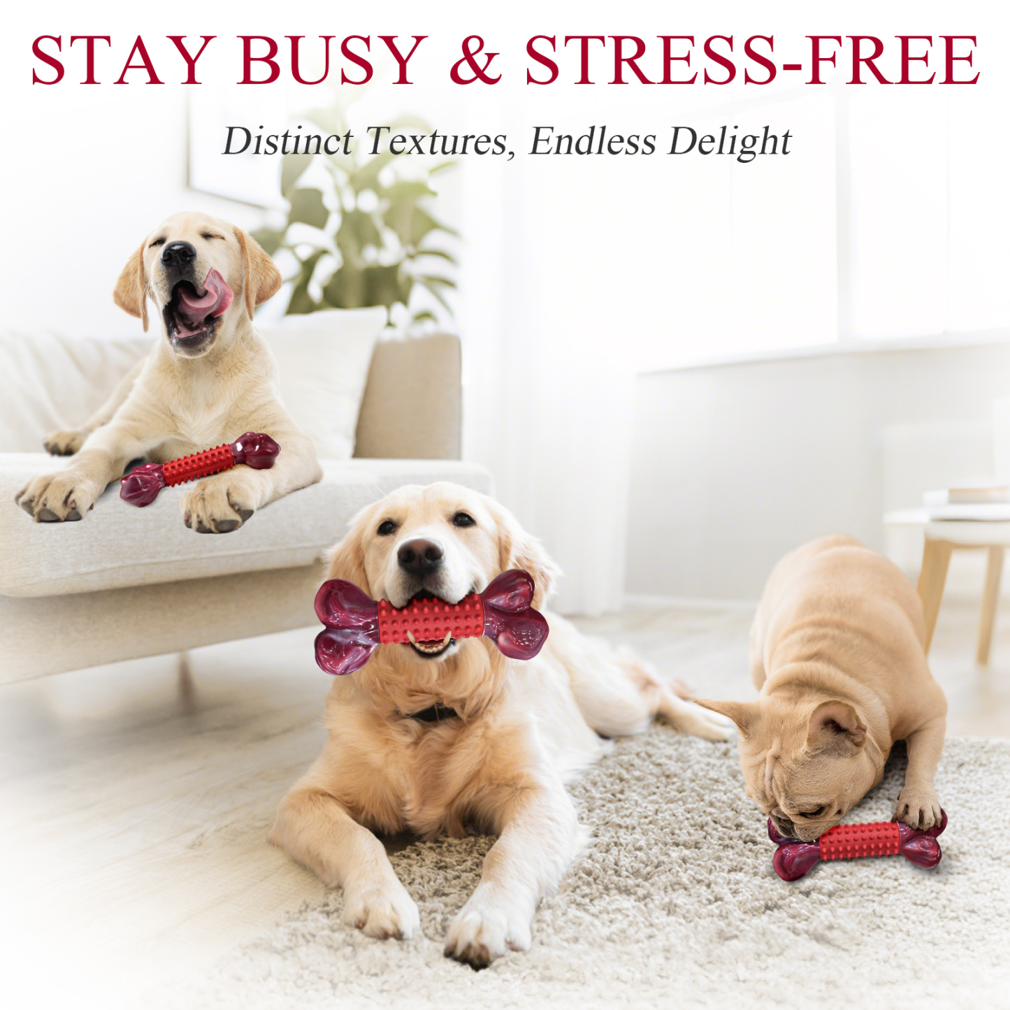 ChienBox ：Hundespielzeug Unzerstörbar für Mittelgroße Große Hunde: Kauspielzeug Hund für Aggressive Kaue