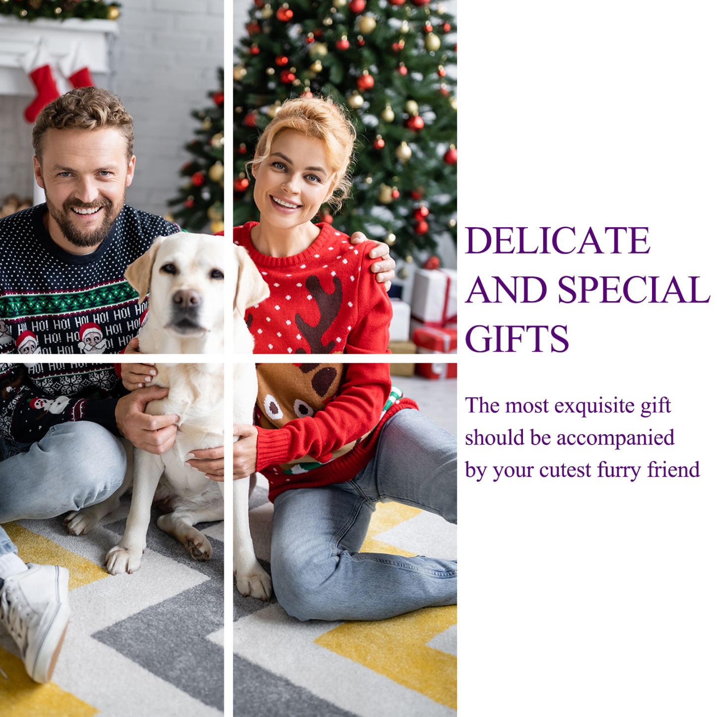 6-Pack Indestructible Dog Toys for Large Breed