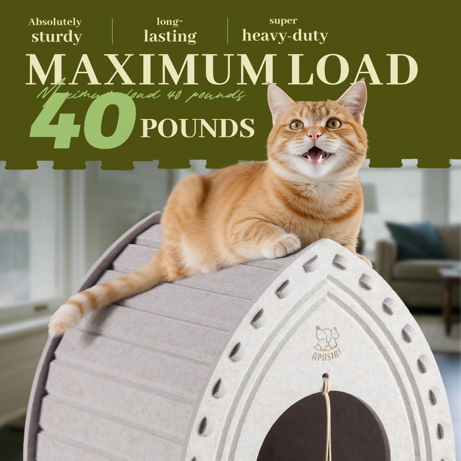 Apasiri Cat House for Indoor Cats: Cat House for Indoor Sturdy