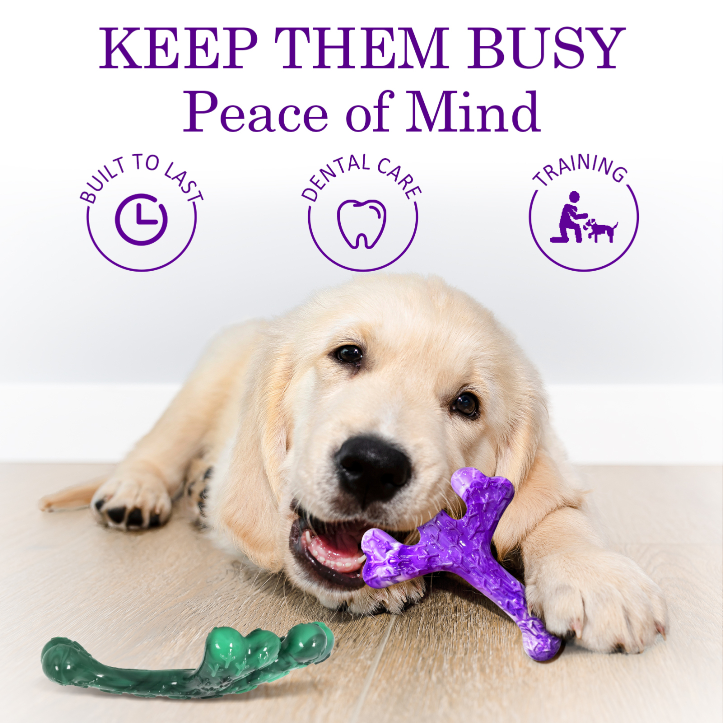 ChienBox : Hundespielzeug für Aggressive Kauer: 2 Stück Hundespielzeug Unzerstörbar für Mittlere Große Hunde