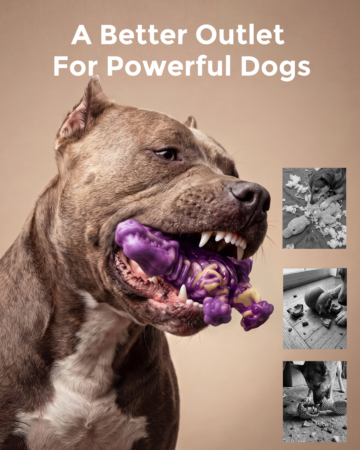 DinoBone 2-Pack Tough Dog Chew Toys for Aggressive Chewers, Bacon, Dusk | Rock-Hard Nylon Dinosaur Bones for Large Dogs 20–90 lbs, Almost Indestructible Dog Toys, Helps Redirect Destructive Chewing