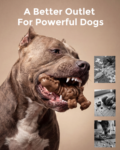 DinoBone 2-Pack Tough Dog Chew Toys for Aggressive Chewers, Bacon, Terra | Rock-Hard Nylon Dinosaur Bones for Large Dogs 20–90 lbs, Almost Indestructible Dog Toys, Helps Redirect Destructive Chewing