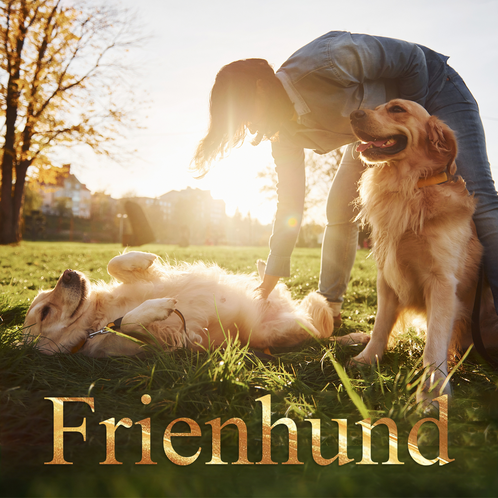 Frienhund by Apasiri Tough Dog Toys for Aggressive Chewers Model 315 Super