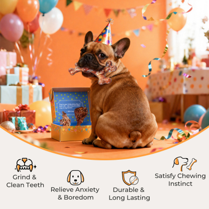 Dog Toys for Aggressive Chewers: Gift Box with 3 Pack Dog Chew Toys