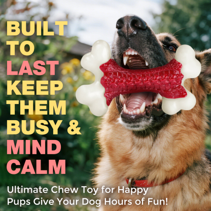 Dog Toys for Aggressive Chewers: Indestructible Dog Toys for Large Dogs