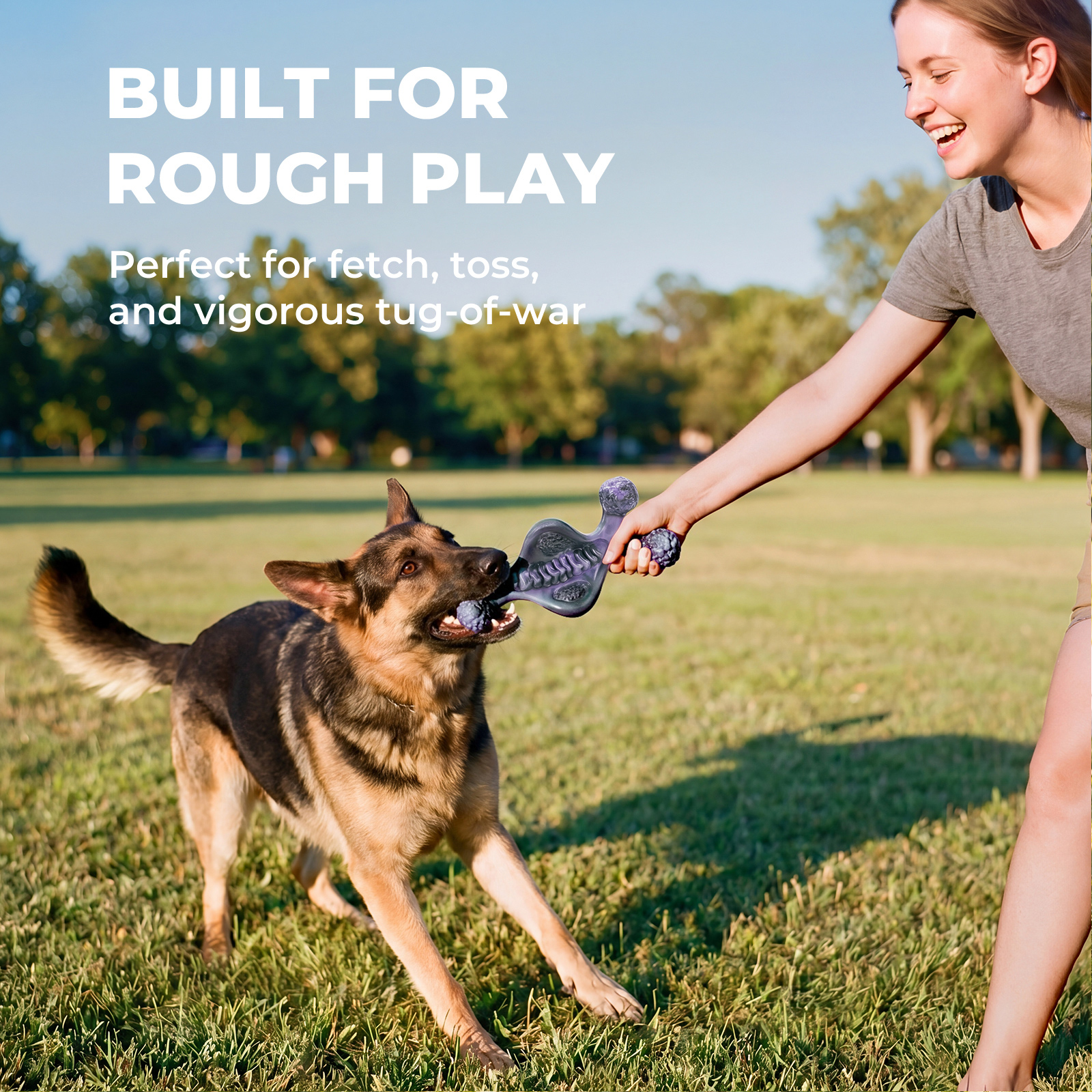 Tough Dog Chew Toys for Aggressive Chewers 25-90 lbs, 2 Pack | Bacon-flavored, rock-hard, solid nylon bone set, redirect destructive chewing, for medium & large breeds