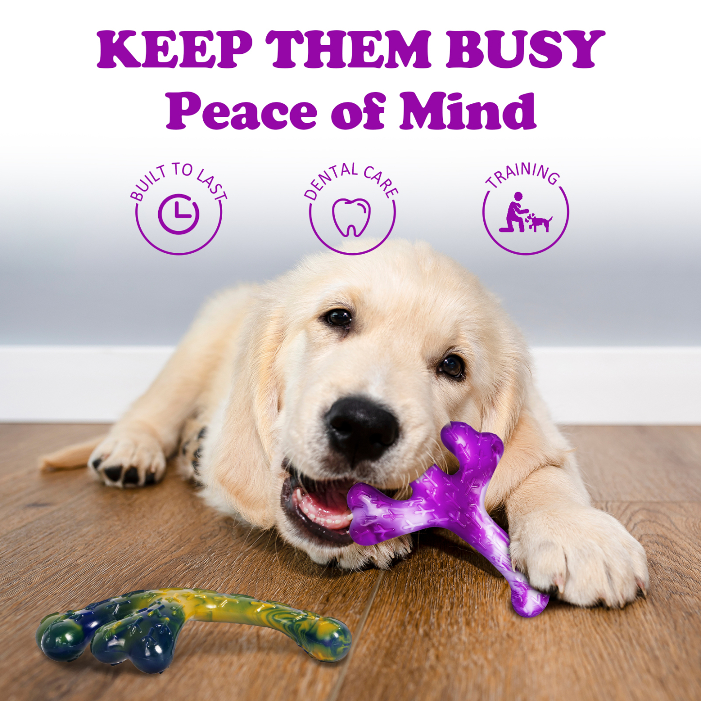 Frienhund by Apasiri Aggressive Chewers Dog Chew Toys - 2 Pack 