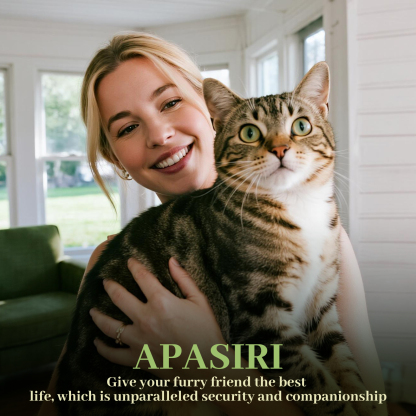 Apasiri Cat House for Indoor Cats: Cat House for Indoor Sturdy