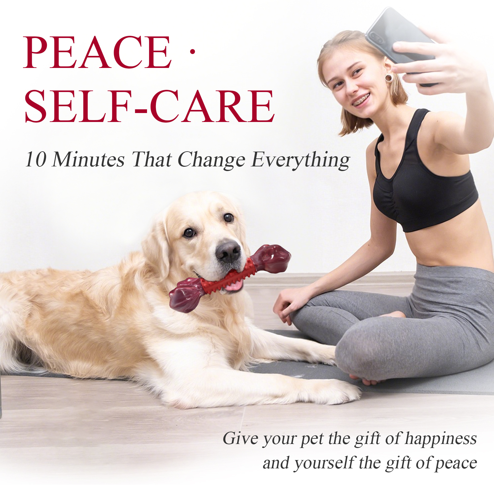 ChienBox ：Hundespielzeug Unzerstörbar für Mittelgroße Große Hunde: Kauspielzeug Hund für Aggressive Kaue