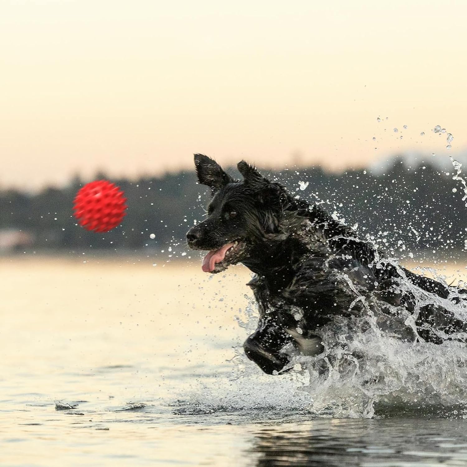 Apasiri Beef-Flavored Durable Dog Ball for Aggressive Chewers, Tough Squeaky Rubber Toy for Pitbulls Large & Medium Breeds