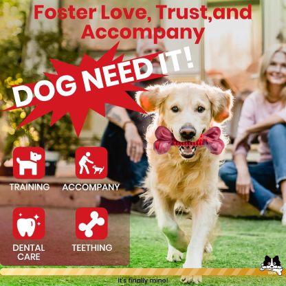 Apasiri Tough Dog Toys for Aggressive Chewers Large Breed, Beef Flavor Dog Chew Bone, Nylon & Rubber Chew Toy for Medium Large Dogs