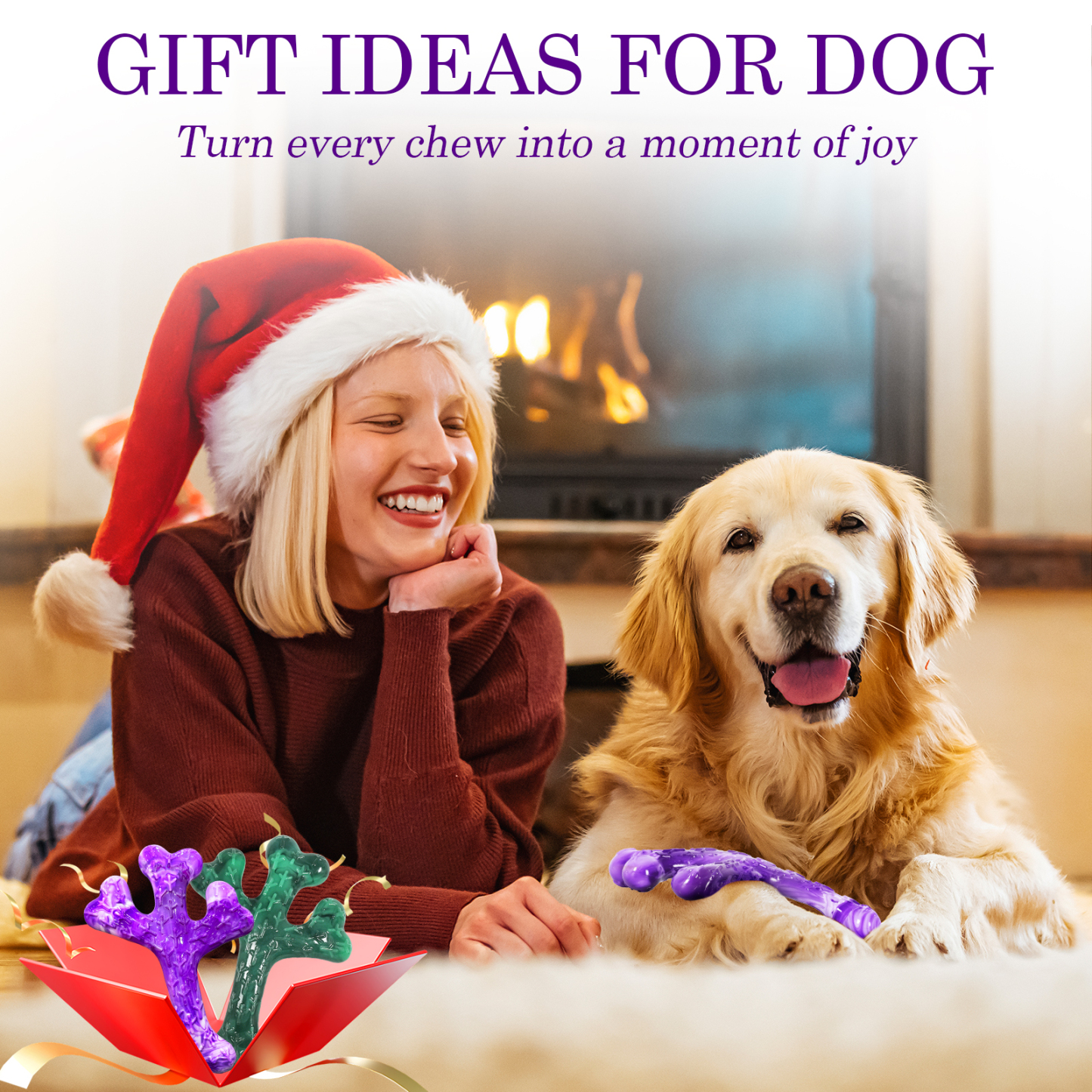 ChienBox : Hundespielzeug für Aggressive Kauer: 2 Stück Hundespielzeug Unzerstörbar für Mittlere Große Hunde