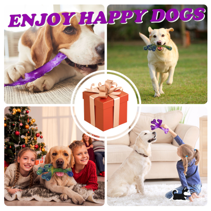 Frienhund by Apasiri Aggressive Chewers Dog Chew Toys - 2 Pack 