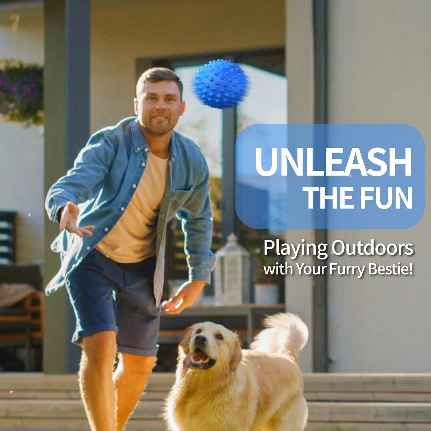 Apasiri Dog Toys for Aggressive Chewers, Dog Balls, Dog Balls for Aggressive Chewers ：Flavor 2 Pack