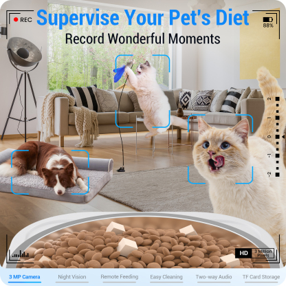 Frienhund by Apasiri Automatic Cat Feeder with 2K Camera: 5G WiFi  