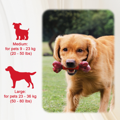 ChienBox ：Hundespielzeug Unzerstörbar für Mittelgroße Große Hunde: Kauspielzeug Hund für Aggressive Kaue