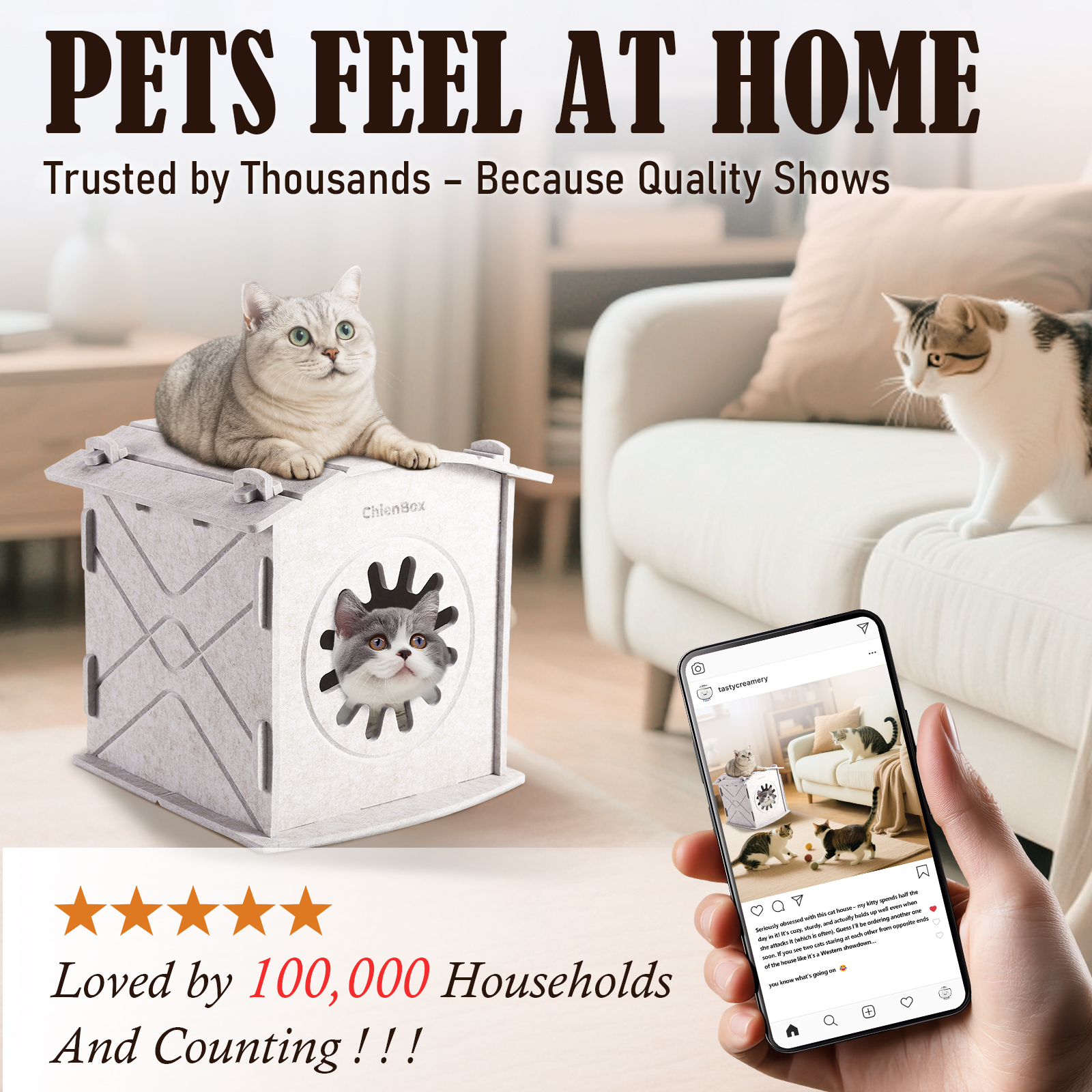 ChienBox：Felt Cat House Indoor: Removable Cat house with Soothing Scratch Arch